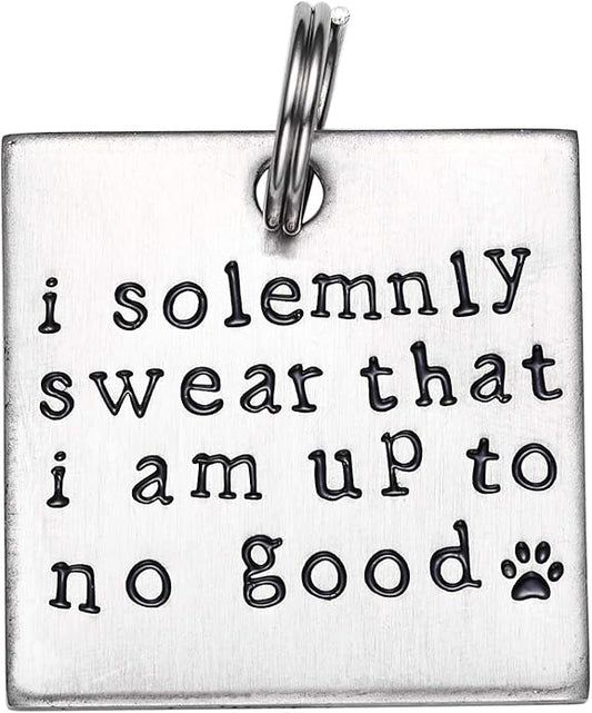LParkin I Solemnly Swear That I am up to no Good! - Unique Pet Id Tag - Dog Tag - Cat Tag