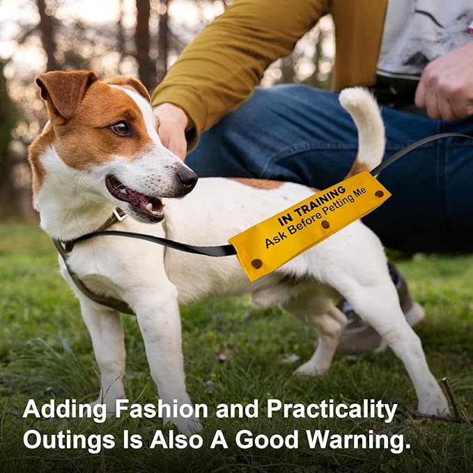 YROVWENQ in Training Ask Before Petting Dog Leash Sleeve with Yellow Training Alert - Gift for Dogs (Ask Before Petting Me Sleeve)