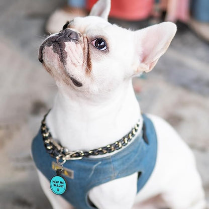 MYLUCKYTAG Silent Silicone QR Code Pet ID Tags Dog Tags - Pet Online Profile - Scan QR Receive Instant Pet Location Alert Email