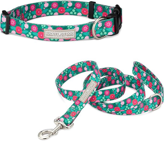 Lucky Love Dog Combo Set, Dog Collar & Leash Set for X-Small Dogs, Colorful Matching Collar and Leash Set for Girl or Boy Dogs, Stripes Penny Combo, XS