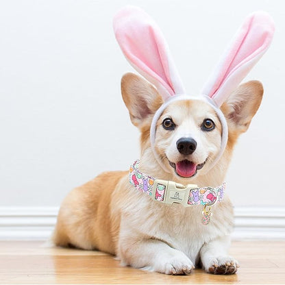 Lionheart glory Easter Dog Collar Colorful Collar for Small Dog Collars Easter Egg Print Dog Collars Spring Female or Male Pet Gift Adjustable Heavy-Duty Holiday Dog Collar Plastic Buckle
