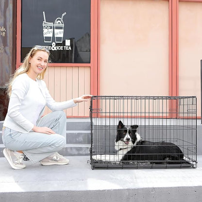 Fold & Carry 1-Door Folding Dog Crate (XL: 48-in L x 30-in W x 33-in H)
