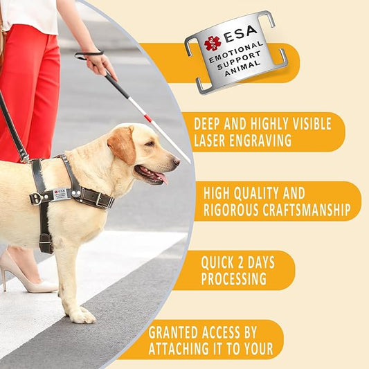 No Noise Stainless Steel K9 ESA Dog Tags, Slide on Dog Collar or Harness Quickly and Securely – Stainless Steel/Small