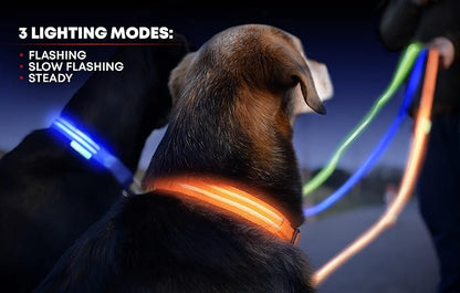 Illumiseen LED Dog Collar USB Rechargeable - Bright & High Visibility Lighted Glow Collar for Pet Night Walking - Weatherproof, in 6 Colors & 6 Sizes (Green XX-Small)