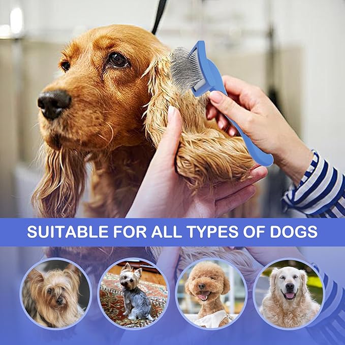 Dog Slicker Brush for Goldendoodles & Golden Doodle Brush for Grooming Kit - Dog Brush for Goldendoodle, Labradoodle, Poodles - Pet Hair Brush for Short & Medium Haired Dogs -Small (Blue)