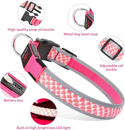 BiPawTi LED Dog Collar Rechargeable, Light Up Dog Collar 3 Light Modes Pet Safety Collar, Super Bright Glow in The Dark Dog Collar for Night Walking, Lighted Dog Collar for Large Dogs （Pink, L）
