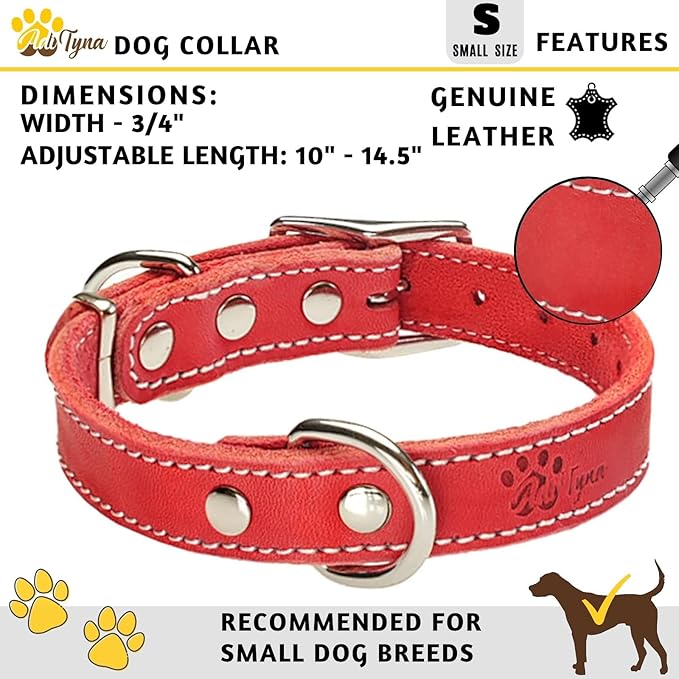 Heavy Duty Red Leather Dog Collar for Small Dogs- Soft and Strong Dog Collar for Puppy or Small Dogs (Small: Fit 10" - 14.5" Neck, Red)
