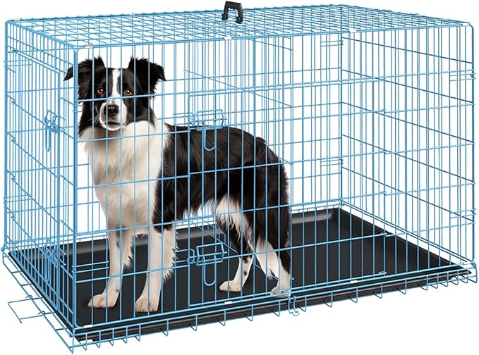 FDW Dog Crate for Medium Dogs 36 Inch Folding Metal WirePet Cage Double Door W/Divider Panel Indoor Outdoor Kennel Leak-Proof Plastic Tray,Blue