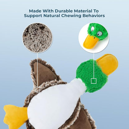 Best Pet Supplies Interactive Mallard Mates Dog Toy with Crinkle and Squeaky Enrichment for Small and Medium Breed Puppies or Dogs, Cute and Plush - Mallard Duck (Gray), Small