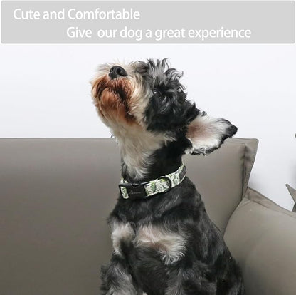 ARING PET Dinosaur Dog Collar-Cute Dog Collar for Small Dogs, Adjustable Comfortable Cotton Boy Dog Collars for Small Medium Large Dogs, X-Small