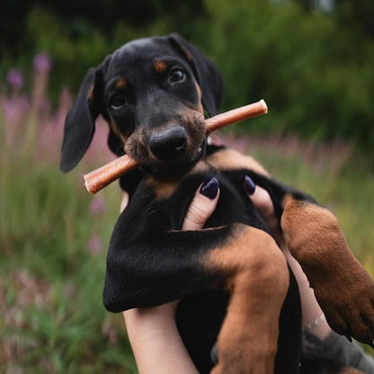 Best Bully Sticks Premium Hickory Smoked 100% Natural Thick 6 Inch Bully Sticks for Dogs - Odor Free with Smoky Aroma - No Additives Free-Range Grass-Fed Beef, Grain-Free Dog Chews - 5 Pack