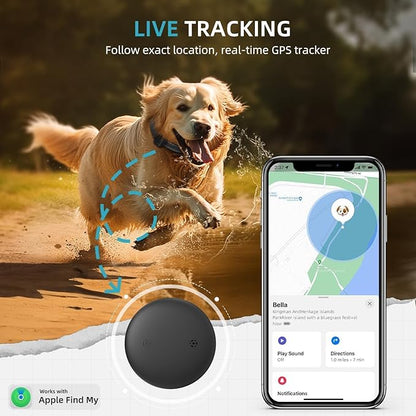 GPS Tracker for Dogs (1 Pack), Mini GPS Cat Tracker, Smart Pet Activity Tracker (iOS Only), No Monthly Fee, Compatible with Apple Find My, Anti-Lost, Finder Tag for Vehicles/Pets/Kids/Items