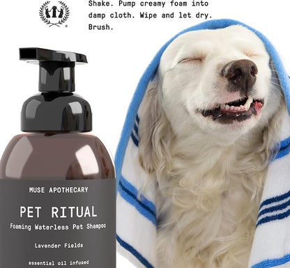 Muse Apothecary Pet Ritual Foaming Waterless Shampoo for Dogs, Waterless Dog Shampoo Foam, No Rinse Dog Shampoo, Waterless Dog Shampoo for Large Dogs - Essential Oils Infused, 11.5oz Oatmeal + Mango