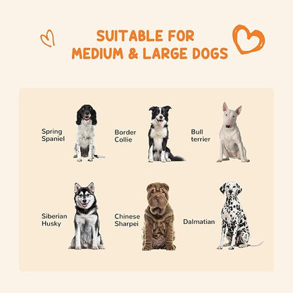 PawHut Dog Kennel Outdoor with Waterproof Canopy, Dog Run with Galvanized Chain Link, Secure Lock, for Backyard and Patio, Large and Medium Sized Dogs, 9.3' x 4.6' x 5.2'