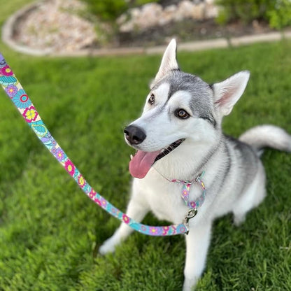 Lucky Love Dog Martingale Collar and Leash Set, Premium No Slip Martingale Collar for Large Dogs, Great for Whippets, Greyhounds, and More (Caroline, Large - Combo)