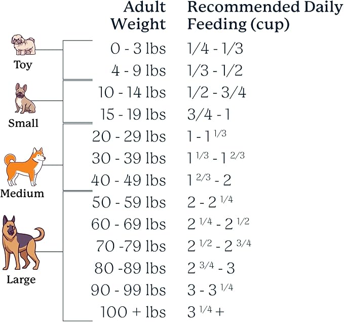 100% Human Grade Air Dried Dog Food - All Natural - USA Grass Fed Beef - Limited Ingredient Dog Food - Grain Free - Dehydrated - Complete Meal or Dog Food Topper – Beef Flavor - Sample Bag
