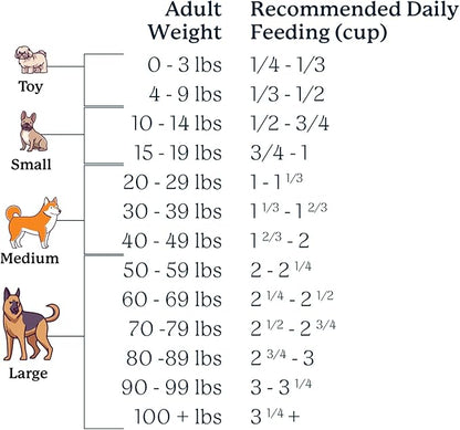 100% Human Grade Air Dried Dog Food - All Natural - USA Grass Fed Beef - Limited Ingredient Dog Food - Grain Free - Dehydrated - Complete Meal or Dog Food Topper – Beef Flavor - Sample Bag