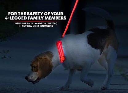 ILLUMISEEN LED Dog Collar USB Rechargeable - Bright & High Visibility Lighted Glow Collar for Pet Night Walking - Weatherproof, in 6 Colors & 6 Sizes (Red Large)