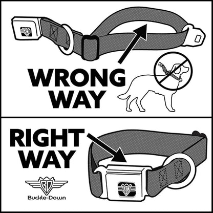 Buckle-Down DC-WXM040-S Seatbelt Dog Collar, Small, X-Men Cyclops Utility Strap Blue/Gold/Black/Red