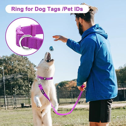 azuza 3 Pack Dog Collars Comfortable and Adjustable Nylon Dog Collars for Large Dogs, L (18-26inch)， Pink, Hot Pink and Purple