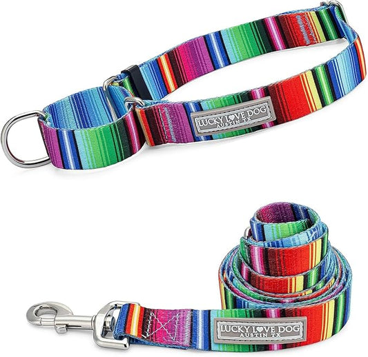 Lucky Love Dog Martingale Collar and Leash Set, Premium No Slip Collar and Leash Set, Colorful Striped Martingale Dog Collar, Great for Whippets, Greyhounds, and More (Medium, Nacho - Combo)