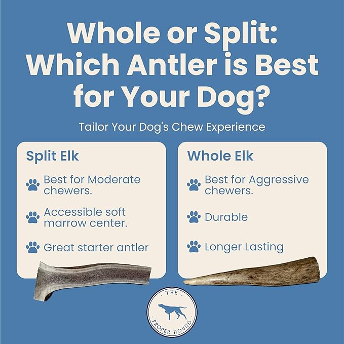 The Proper Hound® Whole Elk Antlers for Dogs [Long Lasting] - Elk Bones for Dogs Humanely Sourced - Elk Horns for Dogs - Dog Elk Antler Chews - Antlers for Small Dogs Under 25 Pounds - Ready to CHEW