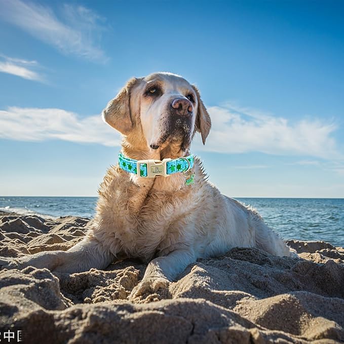 Lionheart glory Dog Collar Blue Sea Turtles Dogs Collar Spring Summer Cute Collars Dog Boy or Girl Soft Durable Adjustable Dog Collars for Small Dogs Pet Gift