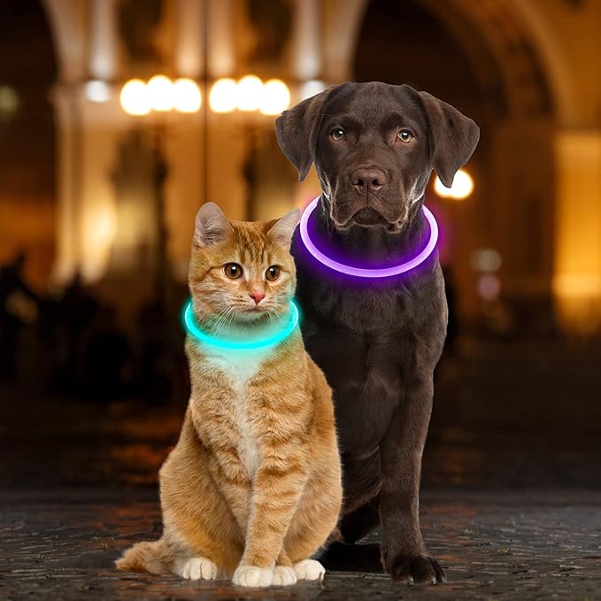 Light Up Dog Collars, Single-Color USB Rechargeable Dlitk LED Dog Collar 1 Count, TPU Cuttable Size Glow Collar for Dogs, Dog Collar Light, Please Do Not Use Fast Charging (Cyan)