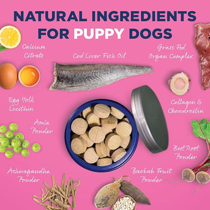 Vetericyn All-in 1 Multifunctional Puppy Supplement and FoamCare Spray-On Thick Coat Puppy Shampoo and Conditioner