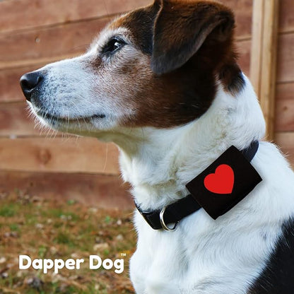Dapper Dog Pet Tag Silencer and AirTag Holder (Black with Red Heart)