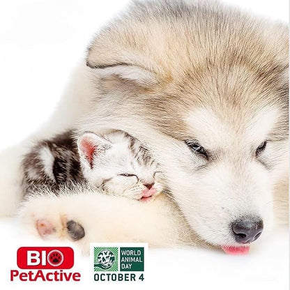 Bio Pet Active Beauty Shine Spray for Cats and Dogs - Improves Coat Health, Reduces Static and Adds Shine, Moisturizes and Softens Fur with Provitamin B5, 3.25 fl oz, 1 Pack