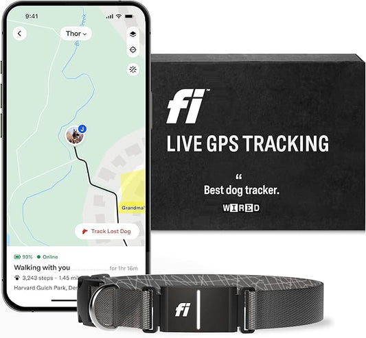 Fi Series 3 Smart Dog Collar - GPS Dog Tracker and Activity & Fitness Monitor, Waterproof, LED Light, Escape Alerts, Nationwide Coverage [Free 1 Year Membership] (Gray, Small)