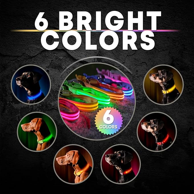 Illumiseen LED Dog Collar USB Rechargeable - Bright & High Visibility Lighted Glow Collar for Pet Night Walking - Weatherproof, in 6 Colors & 6 Sizes (Green XX-Small)