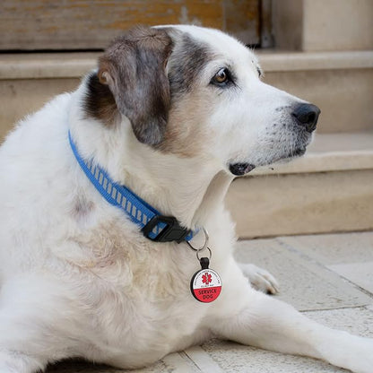 MYLUCKYTAG Silicone QR Code Service Dog Tag - Pet Online Profile - Scan QR Receive Instant Pet Location Alert Email