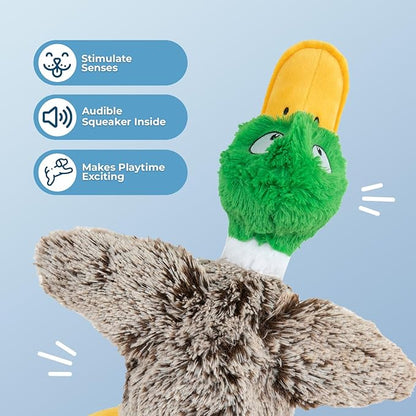 Best Pet Supplies Interactive Mallard Mates Dog Toy with Crinkle and Squeaky Enrichment for Small and Medium Breed Puppies or Dogs, Cute and Plush - Mallard Duck (Gray), Small
