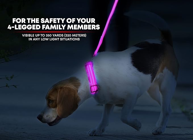 Illumiseen LED Dog Collar USB Rechargeable - Bright & High Visibility Lighted Glow Collar for Pet Night Walking - Weatherproof, in 6 Colors & 6 Sizes (Pink XX-Small)