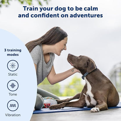 PetSafe 600 Yard Remote Training Collar – Choose from Tone, Vibration, or 15 Levels of Static Stimulation – Medium Range Option for Training Off Leash Dogs – Waterproof and Durable – Rechargeable