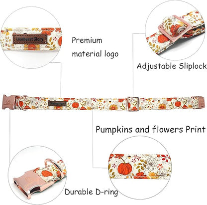 Lionheart glory Dog Collar Halloween Collar Dog Fall Dog Collars, Adjustable Heavy Duty Dog Collar for X-Small Dogs Pumpkin Collar Dog