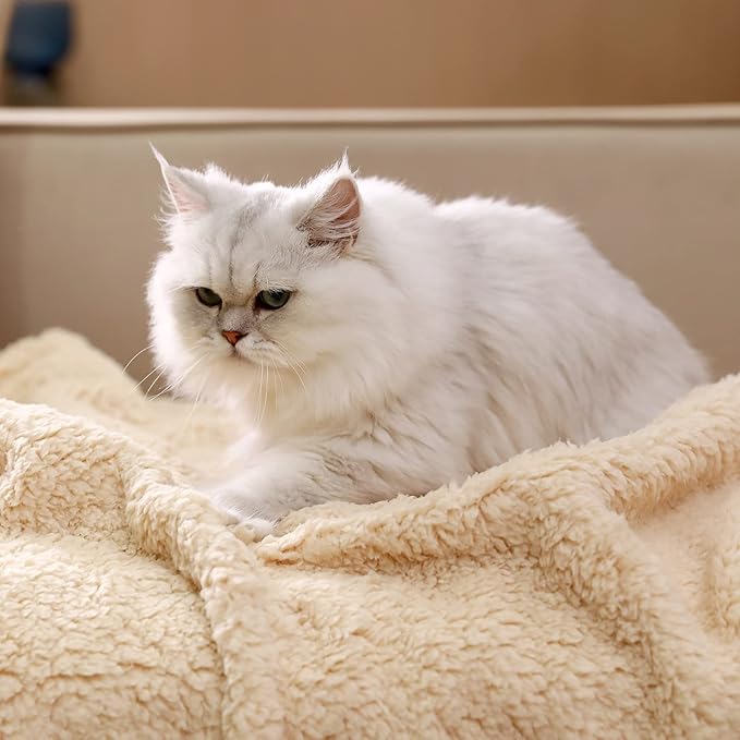 Luciphia Premium Fleece Dog Puppy Blanket Soft Pet Sherpa Calming Cat Blanket Throw for Small Medium Dog Cat(Beige,41x31 inches)
