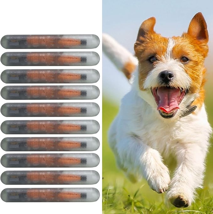Mini 1.25mm Microchip for Dogs and Cats, Lightweight Label Glass Tube Chip Glass Tube Animal Tag Reader Pets Suppliers Shot Records for Pet Dog Cat Cow Pig Rabbit Fish Puppies 10 Pack