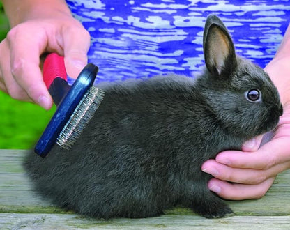Lixit Grooming Kits For Rabbits, Guinea Pigs and other Small Animals. (4 Piece Kit)