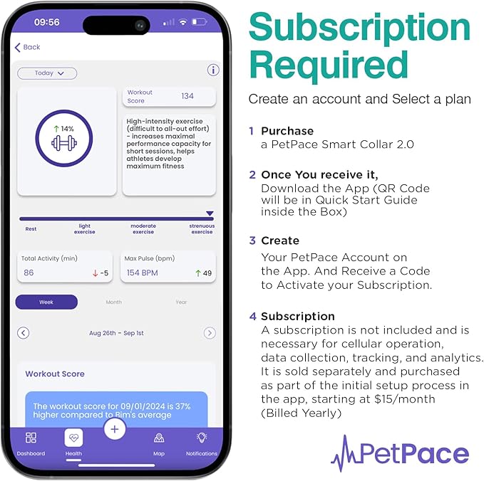 AI Health Monitor & GPS Tracker for Dogs | Track Heart Rate, Pain, Anxiety & Stress | Vet Backed, Near Real-Time Alerts & Monitoring | Subscription Required | PetPace Smart Collar 2.0 (Large)