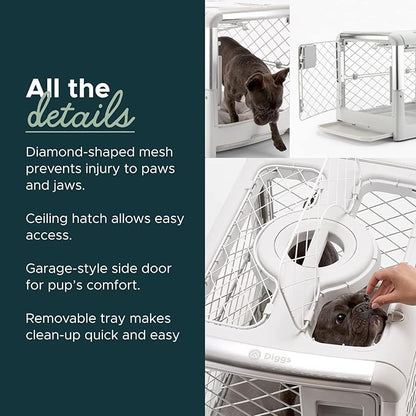 DIGGS Revol Collapsible Dog Crate with Wheels - Premium Portable Dog Crate - Safe, Stylish, and Convenient Indoor Kennel (Ash, Small)