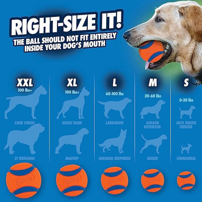 Chuckit! Ultra Duo Tug Dog Toy - Two Ultra Balls on a Durable Nylon Cord Handle - Fetch and Tug-of-War Toy for Dogs - Size Medium - For Breeds 20-60 lbs - 2.5-inch Diameter - Orange and Blue