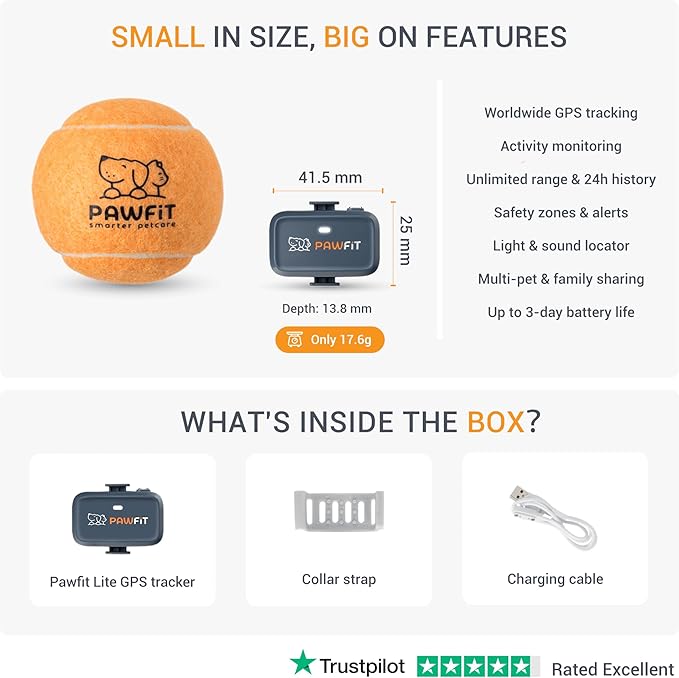 Lite for Small Dogs 4g GPS Tracker | Real Time Tracking | Activity Monitoring |Location History | Unlimited Range | Onyx Black