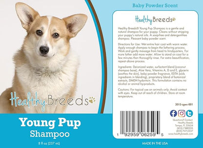 Healthy Breeds Cardigan Welsh Corgi Young Pup Shampoo 8 oz