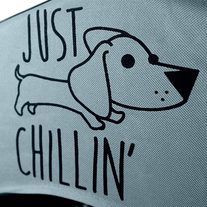 Floppy Dawg Just Chillin’ Portable Dog House. Elevated Pet Shelter for Indoor and Outdoor Use. Made of Water Resistant Breathable Oxford Fabric. Easy to Assemble and Lightweight. 24"L x 23"W x 25"H