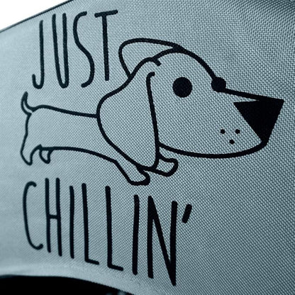 Floppy Dawg Just Chillin’ Portable Dog House. Elevated Pet Shelter for Indoor and Outdoor Use. Made of Water Resistant Breathable Oxford Fabric. Easy to Assemble and Lightweight. 24"L x 23"W x 25"H