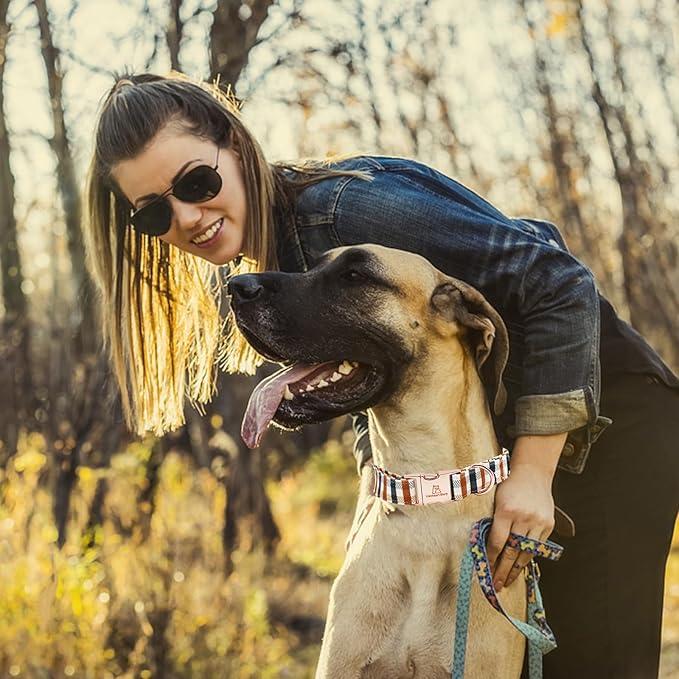Lionheart glory Plaid Dog Collars Fall Dog Collar Heavy Duty Adjustable Dog Collar for Large Collar Dog Female or Male Dog Collar