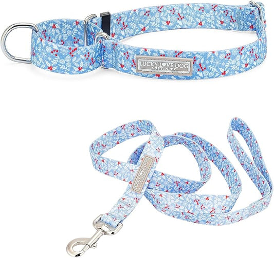 Lucky Love Dog Winter Themed Martingale Collar and Leash Set, Premium No Slip Collar and Leash Set, Snowflake Christmas Martingale Collar for Large Dogs - (Winterblue No Slip, L - Combo)
